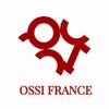 Logo of the association OSSI France